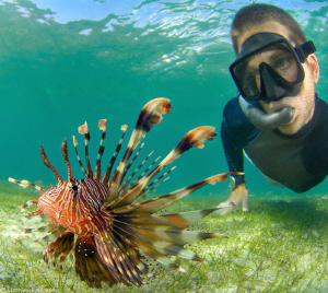 chasing the Lionfish by Mathieu Foulquié 